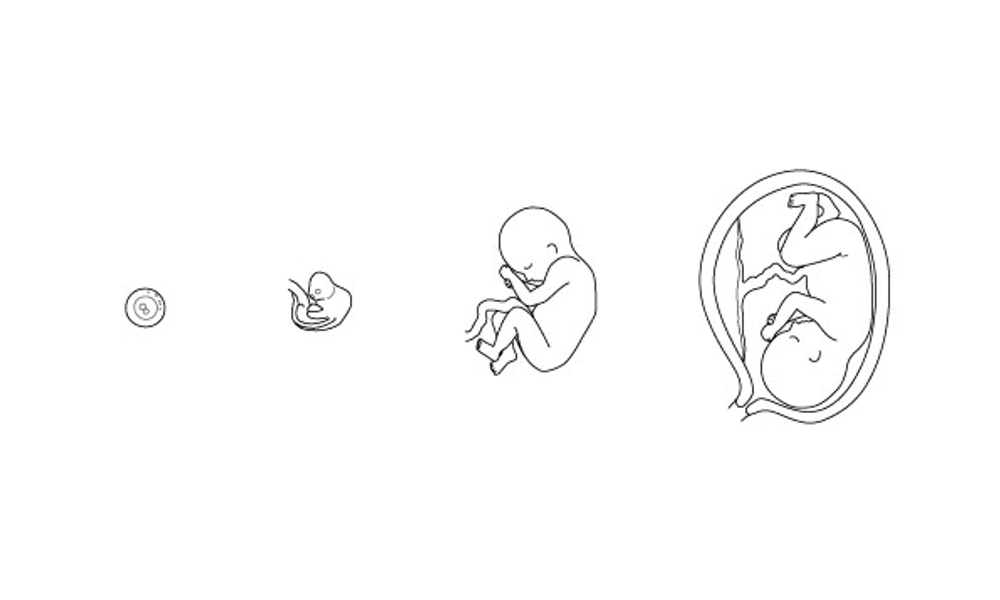 教科書イラスト